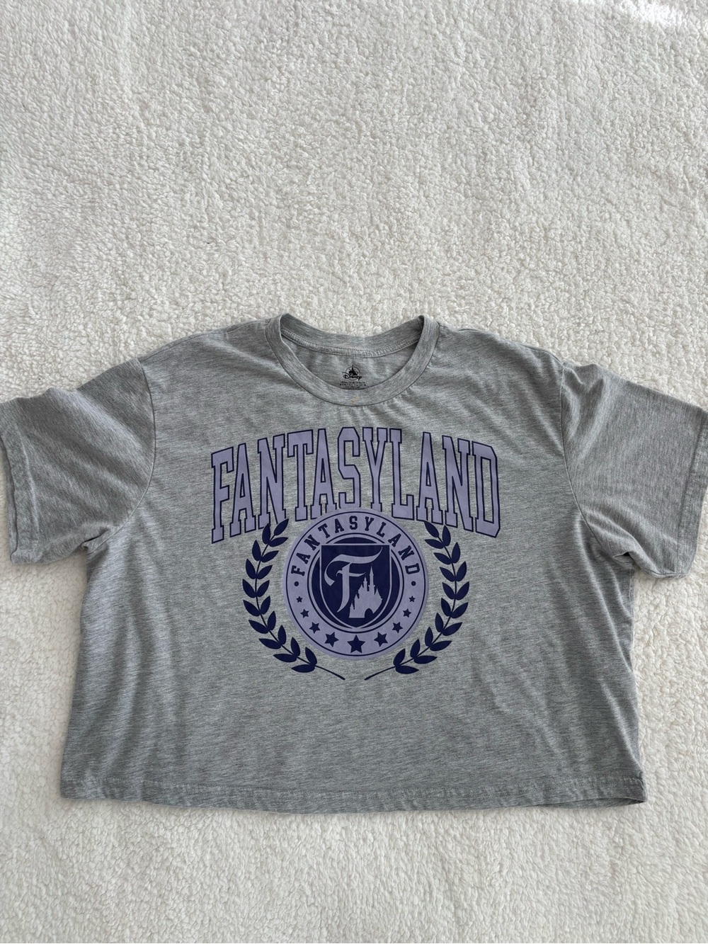 Disney Fantasyland Gray Graphic T-Shirt Disneyland Disney Parks Tee Retro Size L
